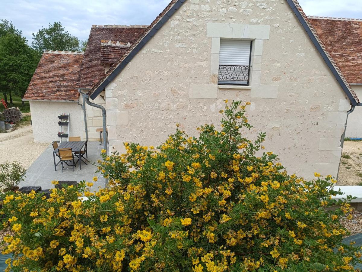 Gite De La Grand Maison Le Noyer Seigy Exteriér fotografie